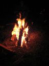 Paleo_08_152