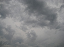 Paleo_08_220