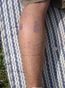 Paleo_08_234