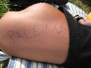 Paleo_08_241