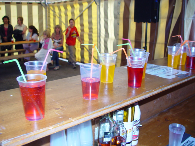 Fete_du_Vill_DiscoSirop_05_07_025