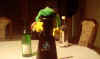 grenouille1.jpg (11206 octets)